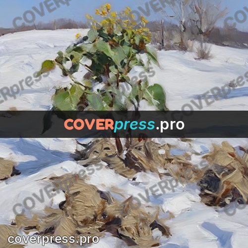Oil painting illustration: plants in a snowy field