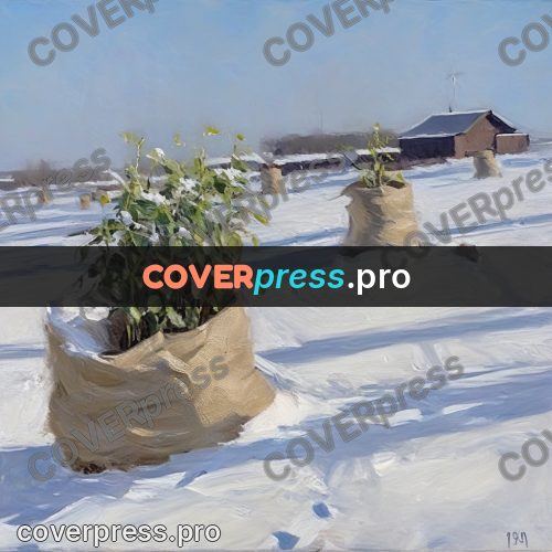 Oil painting illustration: plants in a snowy field