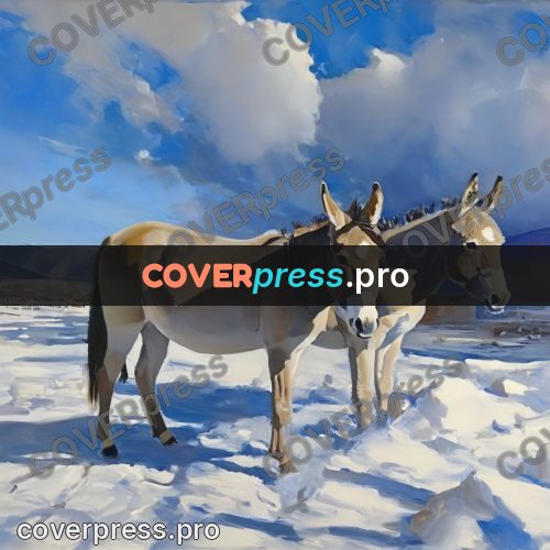 Oil painting illustration: donkey in a snowy field