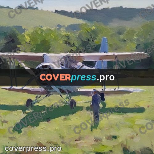Oil painting illustration: green field on a summer day