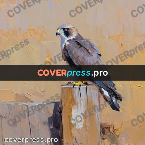 Oil painting illustration: falcon on a wooden post