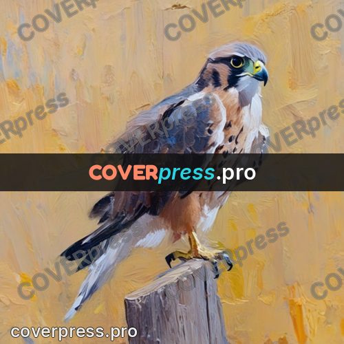 Oil painting illustration: falcon on a wooden post