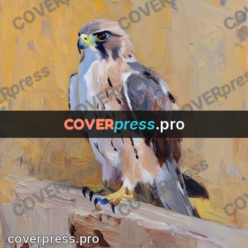 Oil painting illustration: falcon on a wooden post