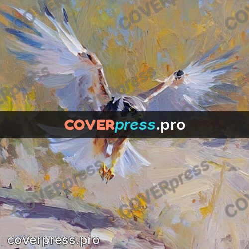 Oil painting illustration: falcon with open wings