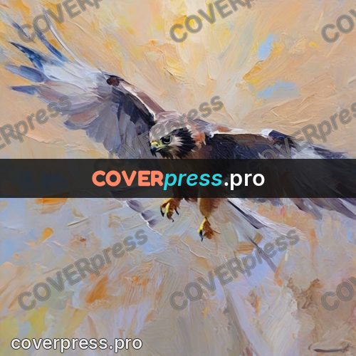 Oil painting illustration: falcon with open wings