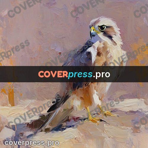 Oil painting illustration: falcon on a stone