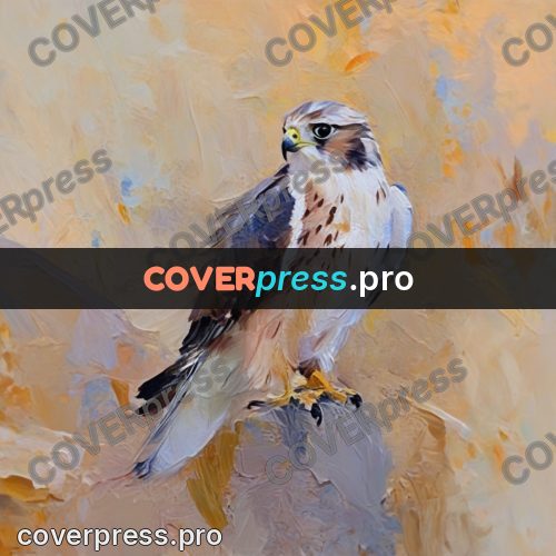 Oil painting illustration: falcon on a stone