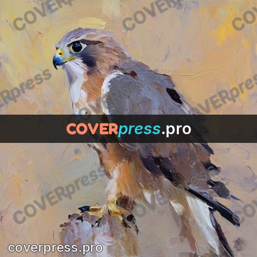 Oil painting illustration: falcon on a stone