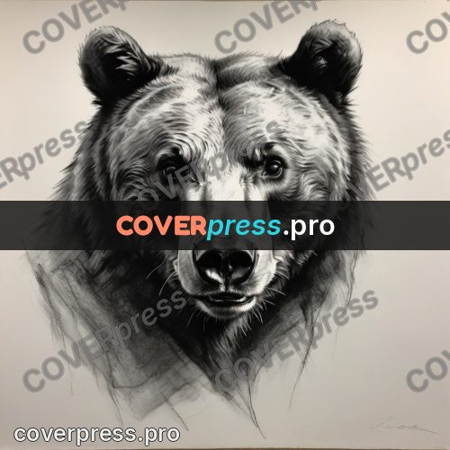 Charcoal sketch: bear head facing forward