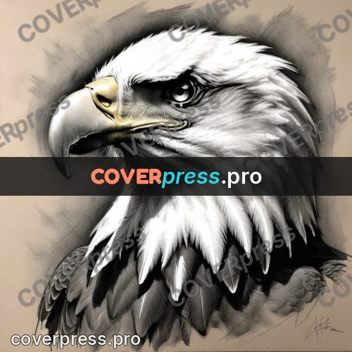 Charcoal sketch: eagle head in profile