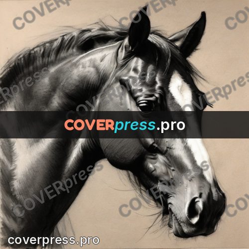 Charcoal sketch: horse head in profile