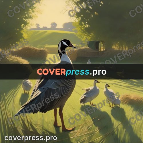 Digital illustration: geese in a green field