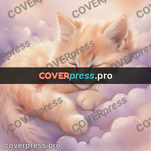 Dreamy illustration: ginger kitten on the clouds