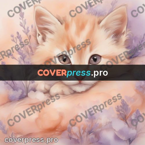 Dreamy illustration: ginger kitten on the clouds