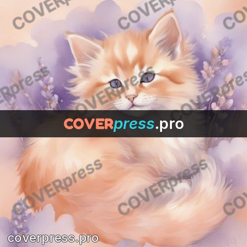 Dreamy illustration: ginger kitten on the clouds