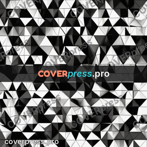 Polygon artwork: black and white triangle pattern