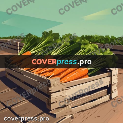 Flat illustration: carrots in a wooden crate
