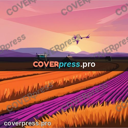 Flat illustration: tractor in a field at sunset