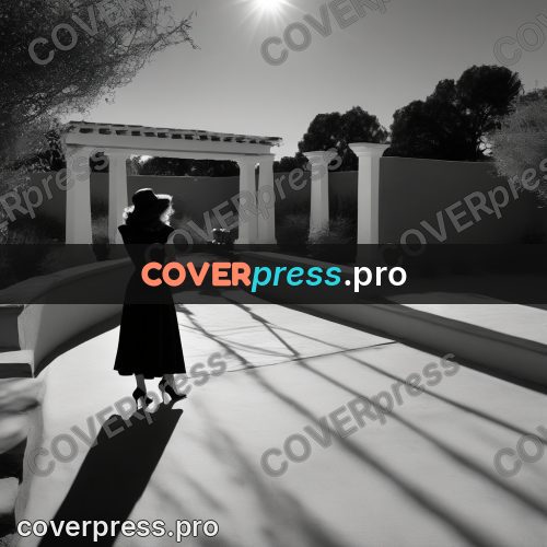 Black and white photo: shadows of columns on a courtyard