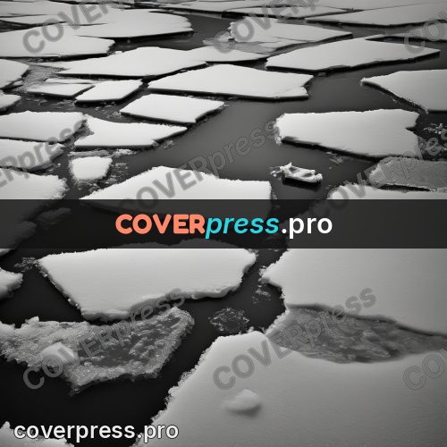 Black and white photo: ice floes on dark water