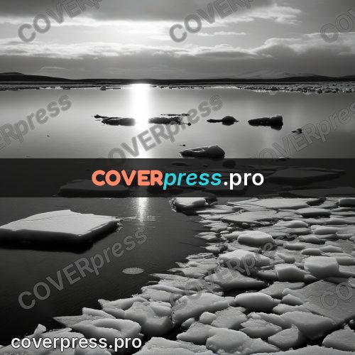 Black and white photo: ice floes on dark water