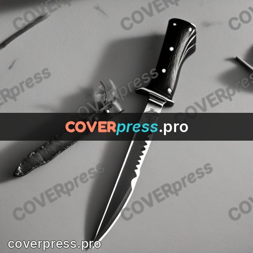 Black and white photo: knife beside its sheath