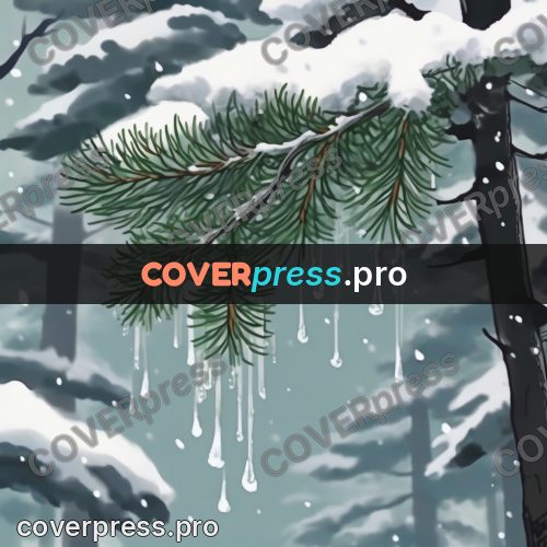 Studio Ghibli artwork: fir branches in the snow