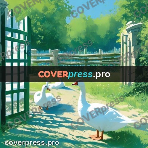 Gouache illustration: white geese by a gate