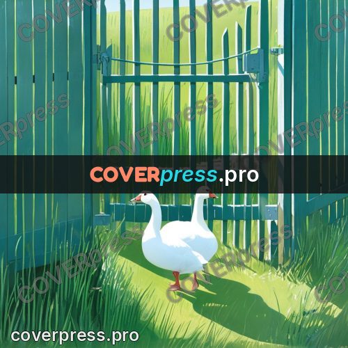 Gouache illustration: white geese by a gate