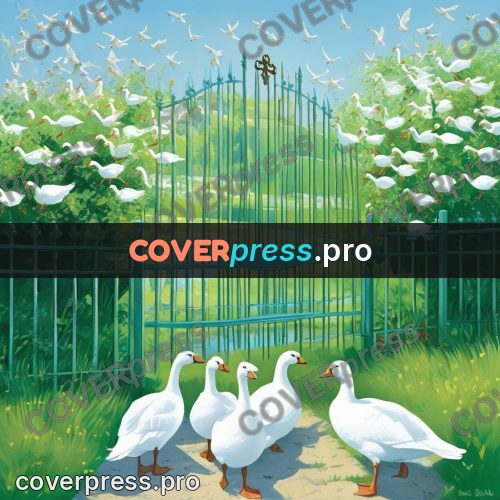 Gouache illustration: white geese by a gate