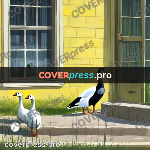 Gouache illustration: geese on a garden path