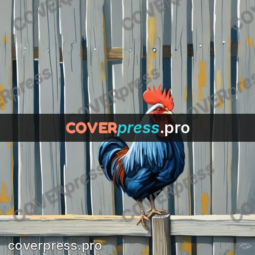 Gouache illustration: rooster on a wooden fence