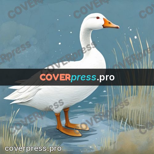 Gouache illustration: white goose by the water