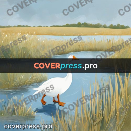 Gouache illustration: white goose by the water