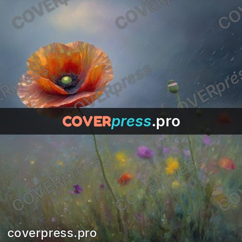 Impressionist illustration: poppy in a meadow in rain