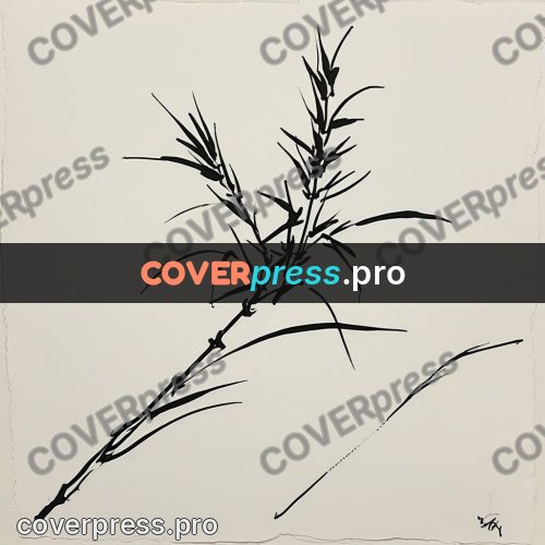 Ink sketch: bamboo stem with leaves