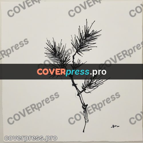 Ink sketch: pine branch with needles