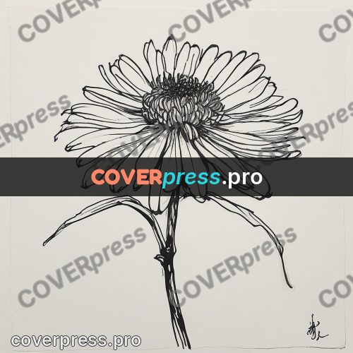 Ink sketch: chrysanthemum with long petals