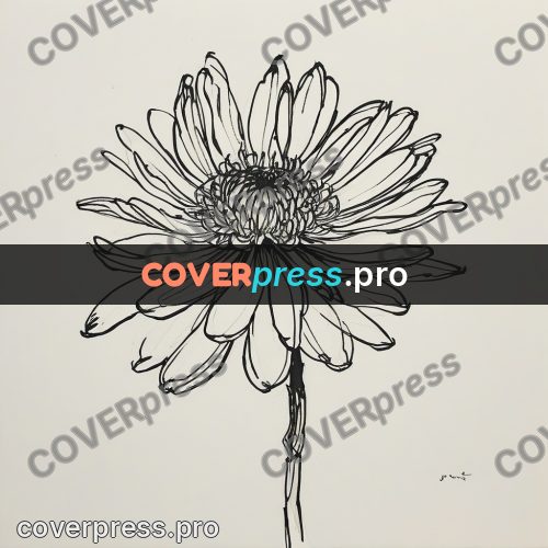 Ink sketch: chrysanthemum with long petals