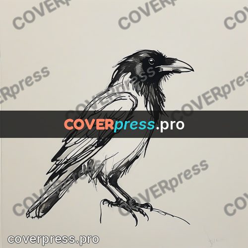 Ink sketch: raven on a thin branch