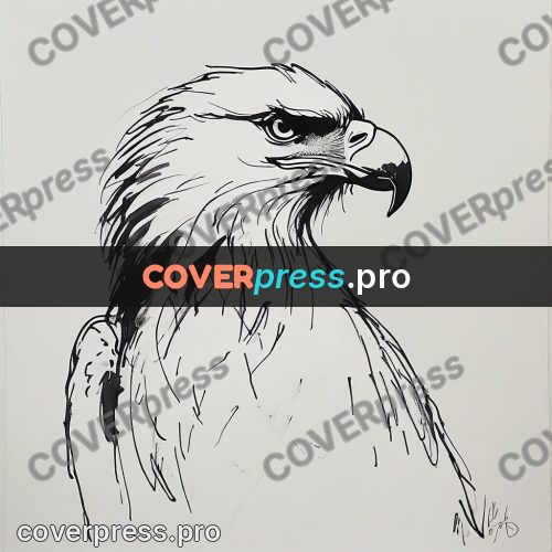 Ink sketch: eagle with its head turned
