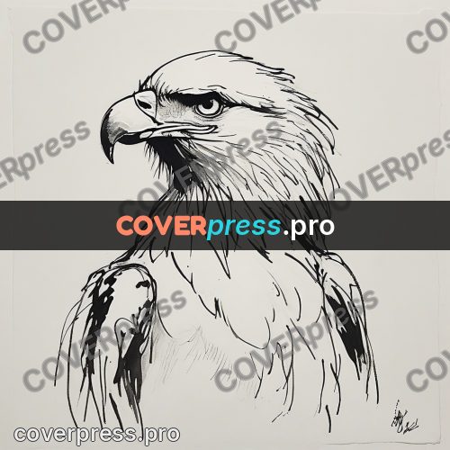 Ink sketch: eagle with its head turned