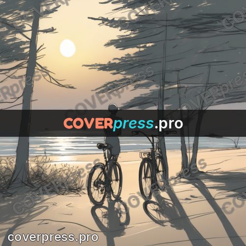 Line artwork: bicycle by the sea at sunset