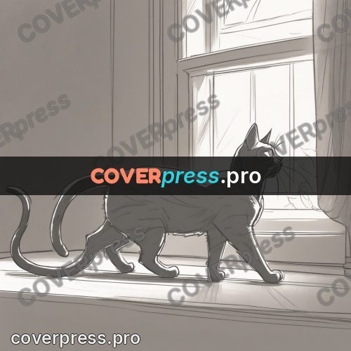 Line artwork: cat walking through a room