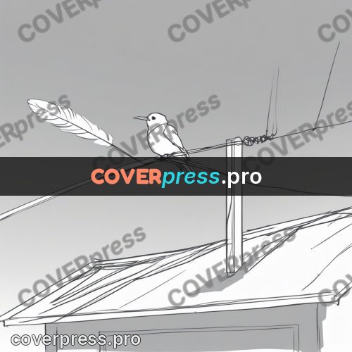 Line artwork: bird on a wire