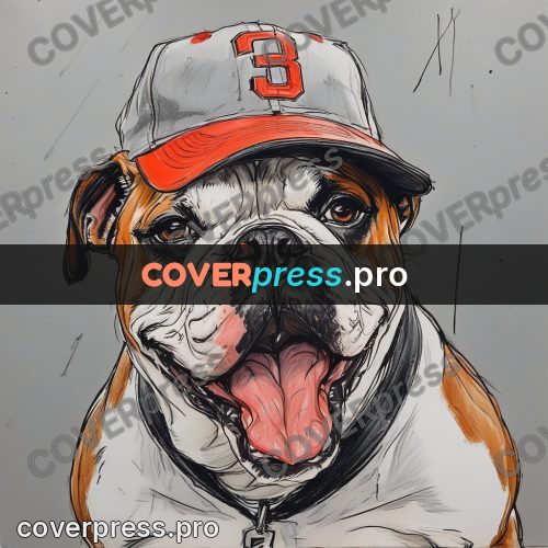 Sketch illustration: bulldog in a baseball cap
