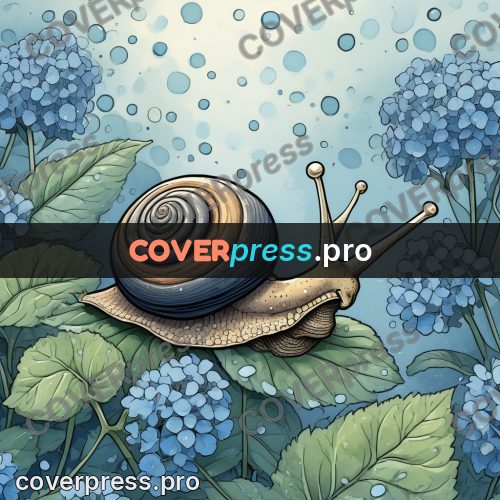 Moebius style illustration: snail on hydrangeas