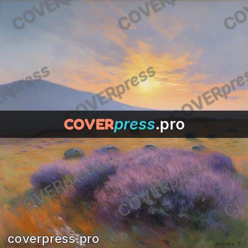 Monet style drawing: heather moor at dawn