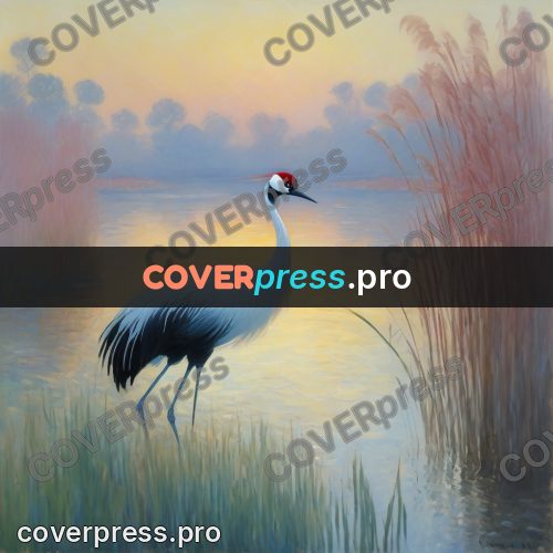 Monet style drawing: crane among the reeds