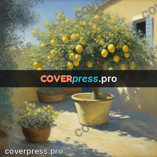 Monet style drawing: lemon tree in a tub